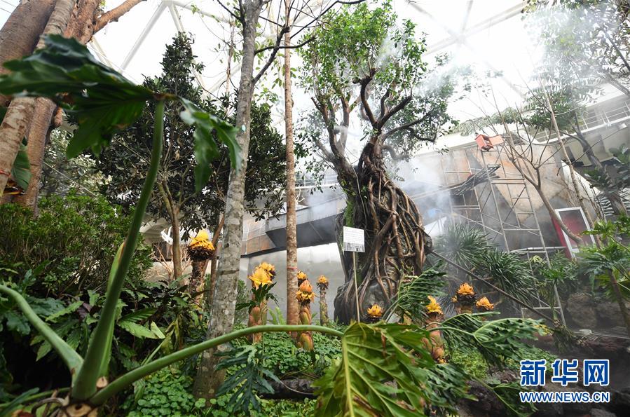 与自然和谐相处的美丽家园--写在北京世园会开