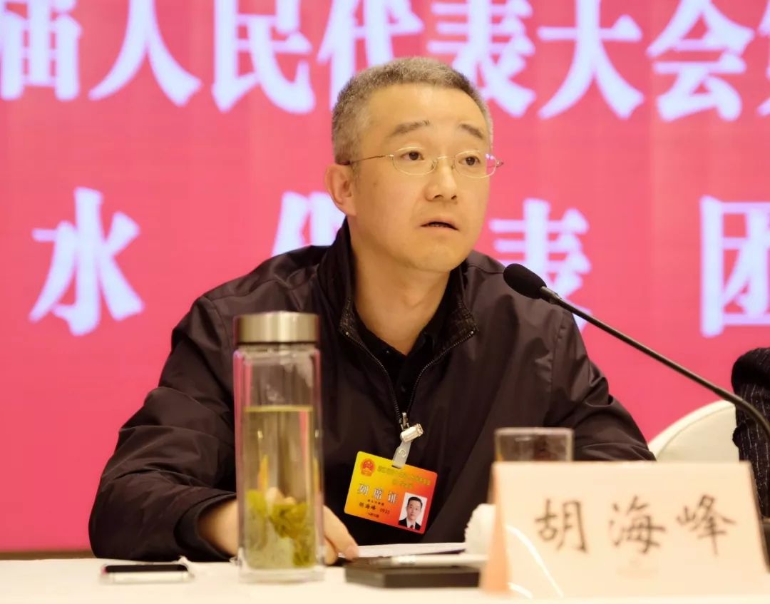 胡海峰在参加丽水代表团审议时强调:高扬丽水