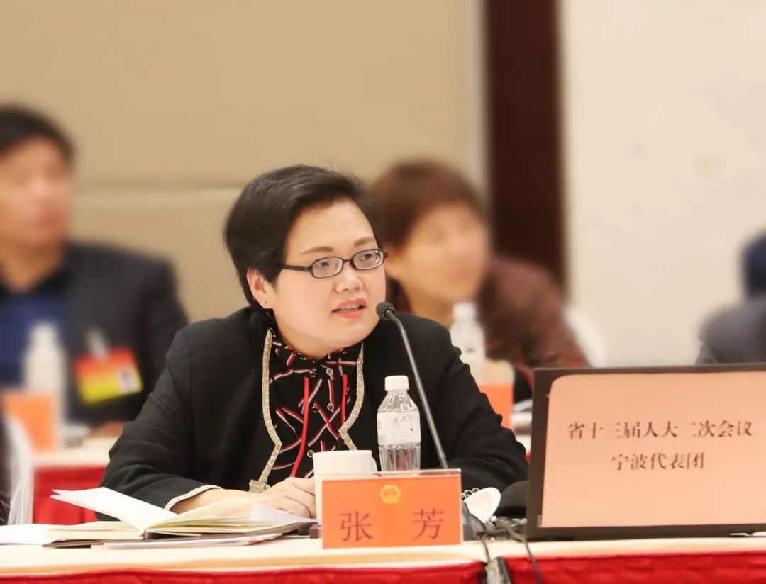 宁波代表团继续审议省政府工作报告