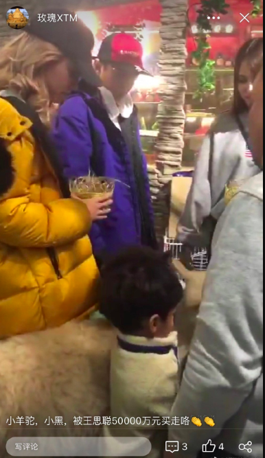 王思聪撩妹又出新花样?花四万买羊驼送美女当宠物