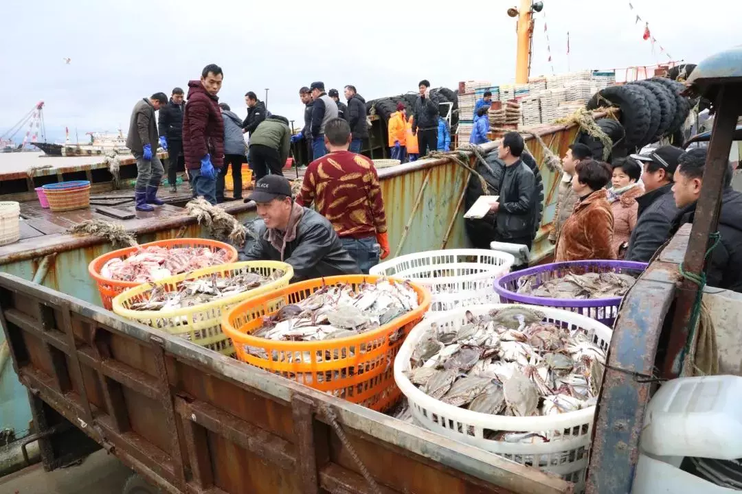 节后批渔获!舟山这种海鲜大量上市,马上到最好吃的季节!