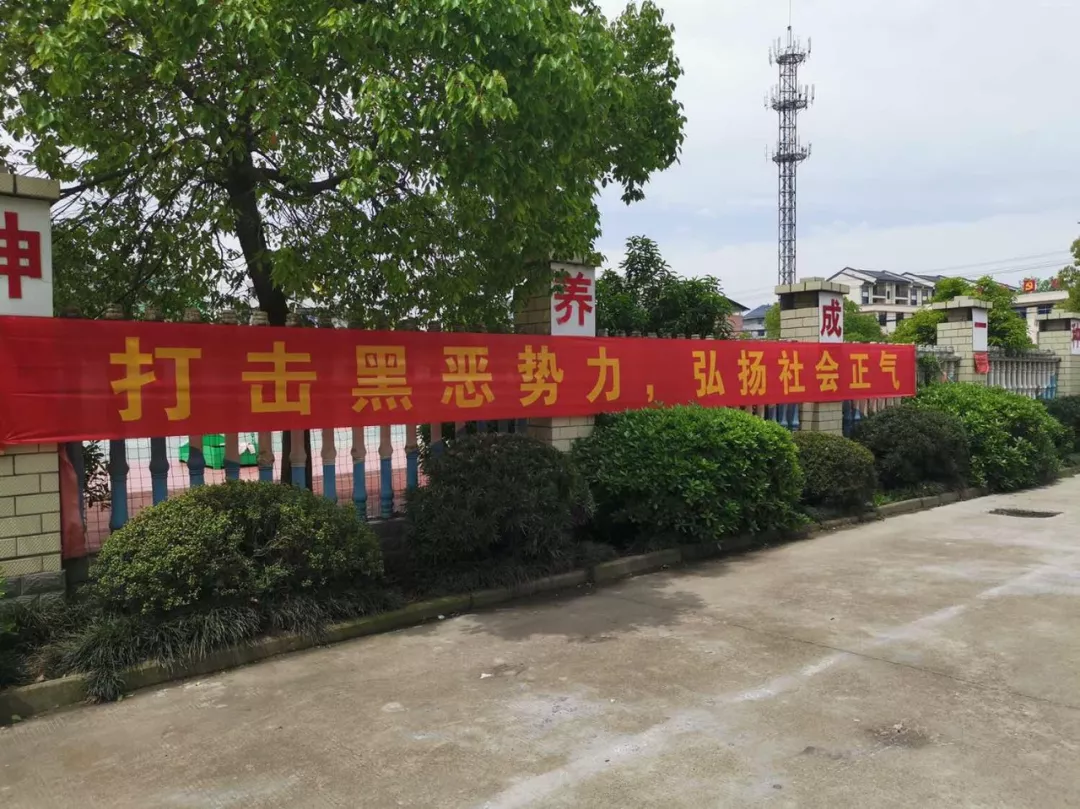 扫黑除恶,知法,守法,弘扬正气,松阳教育怎么做