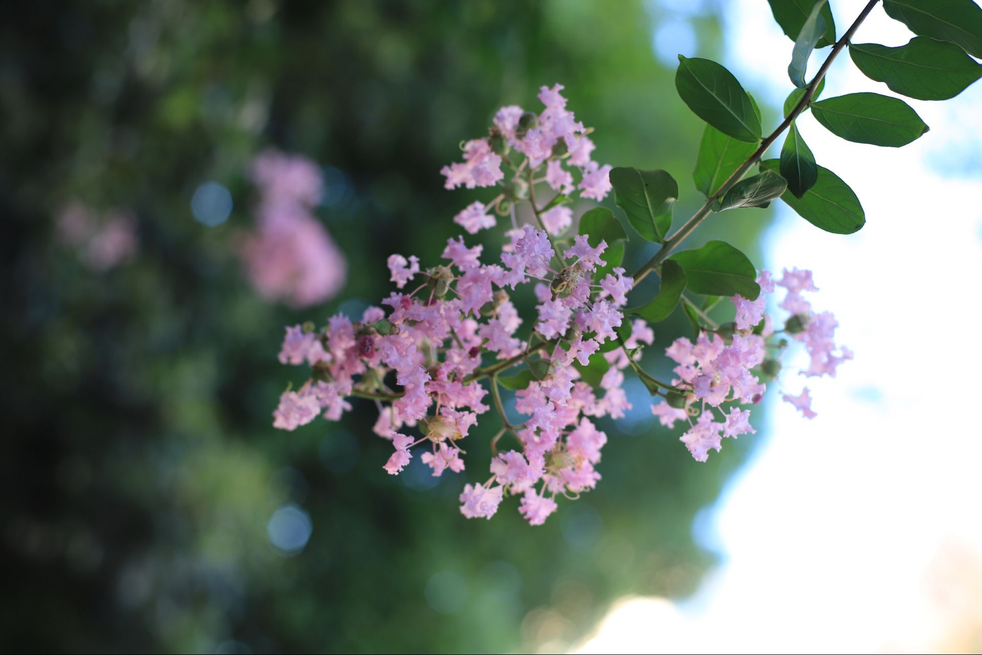 今天杭州的雨有点猛!五一小长假的天气 就一个