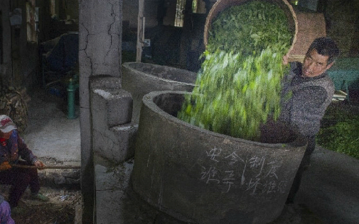 蜂之眼/淳安老茶厂,裹夹着乡愁里的滋味