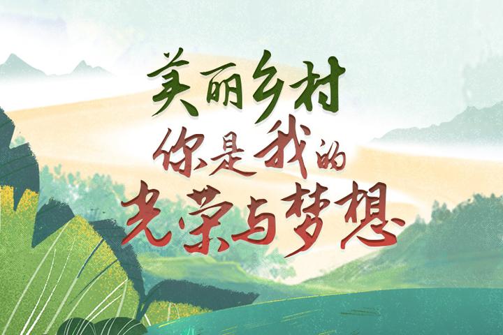 这件事浙江为啥一干15年?美丽乡村记得这份深情3