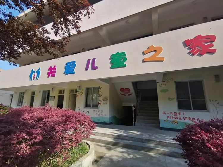 "关爱小学儿童"正成为留守之家的a小学家湖州鹤和儿童图片