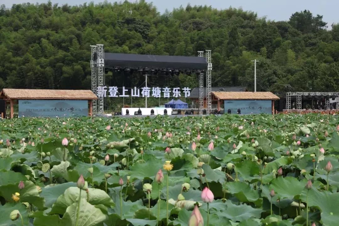 00-10:30     新登镇上山村