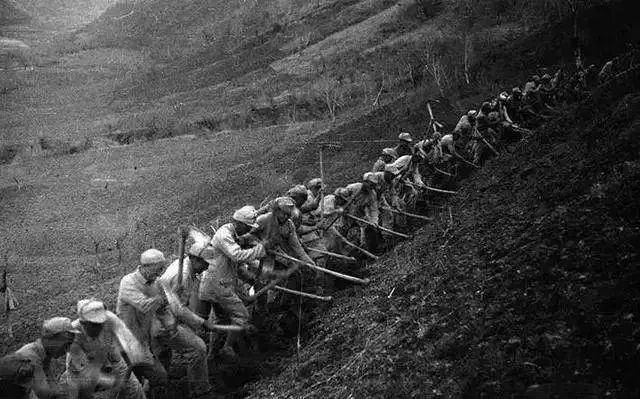 1943年,南泥湾,359旅开荒生产.周从初拍摄.