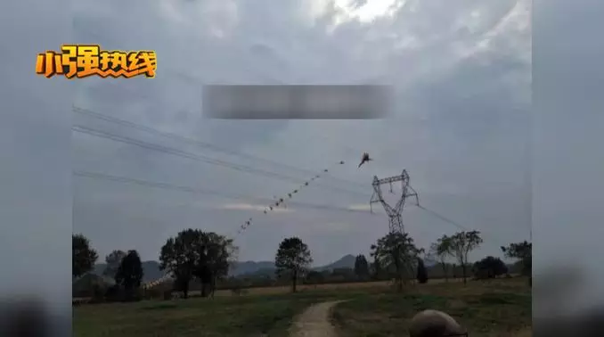畫麵太嚇人！男子慘遭「260公尺長風箏帶離地麵」下一秒不忍直視...網驚呆：可怕（影