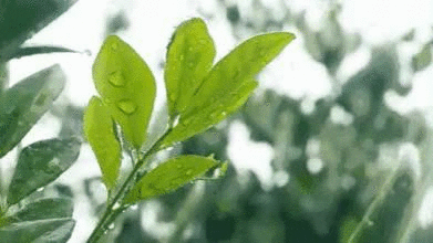 2019年过去了我很怀念它