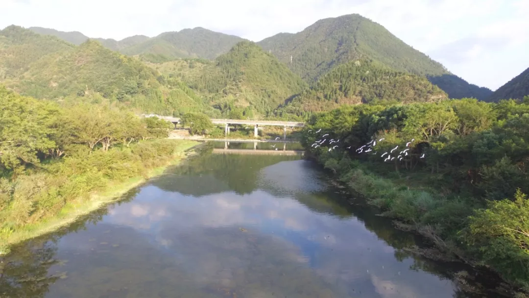 湿地公园位于永康城区饮用水源地—杨溪水库的库尾及其上游源头