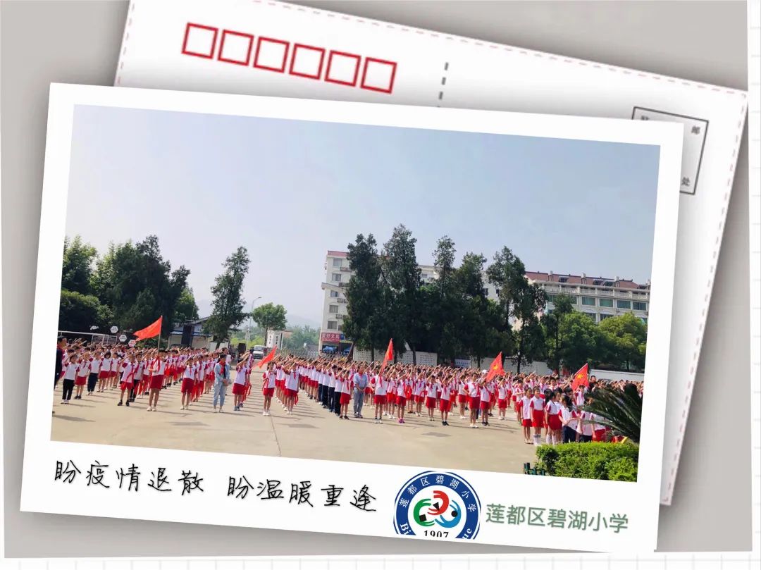 莲都区碧湖小学