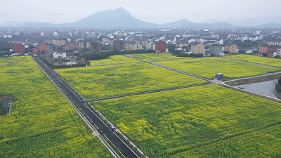这片油菜花田5年前还曾是一片荒地借着美丽乡村建设这片土地也迎来了