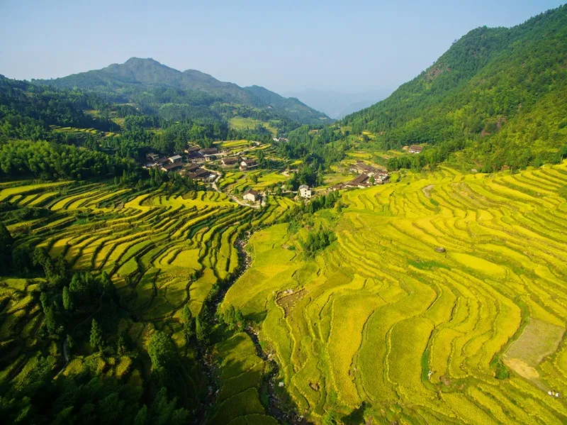 景宁畲族自治县郑坑乡