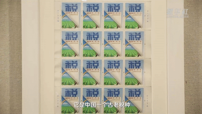 这枚面值80分的邮票上，是触动亿万农人的大事｜赤色百宝第73集