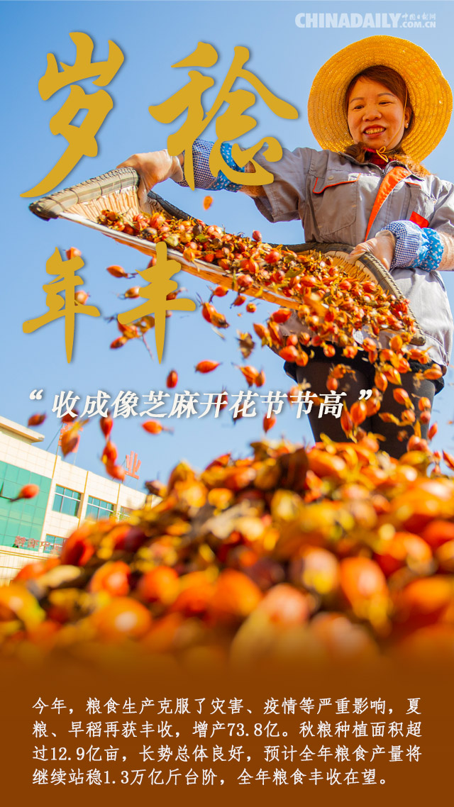 【海报】丰盈节里，去看看农人的新生活