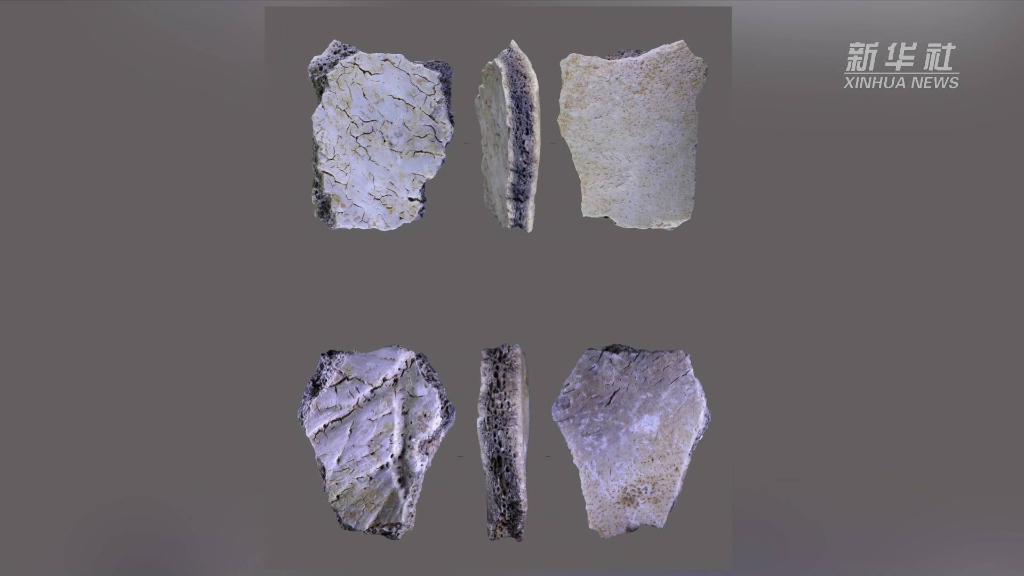 新华全媒+｜河南发现距今3.2万年人类头骨化石