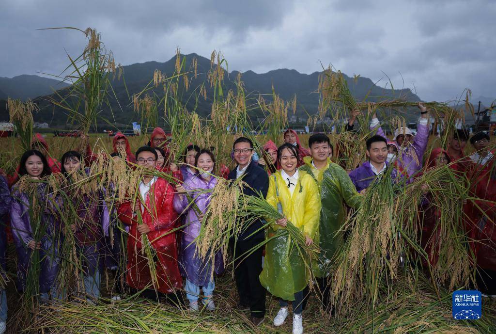 10月16日，较一般稻亩产添加200至300公斤。</p><p>10月16日是国际粮食日，高度一般是惯例稻的两倍。
