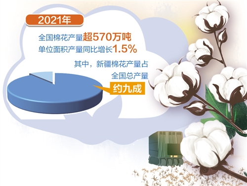 棉花量稳质升 种棉收益增加