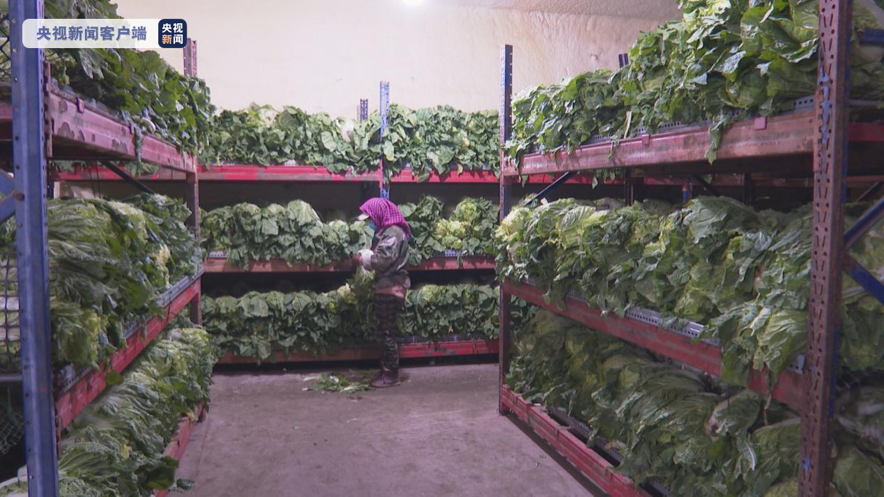 哈尔滨暂时添加市级春季蔬菜储藏2000吨 保“菜篮子”安稳