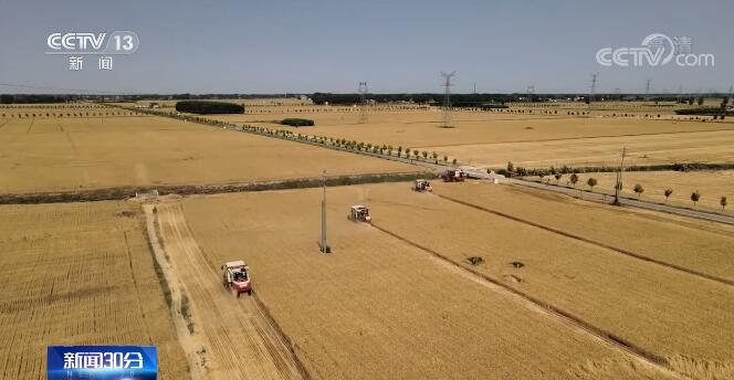 【在期望的田野上·三夏时节】全国已收成小麦面积5583万亩