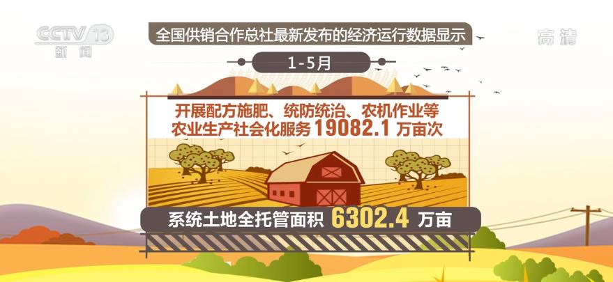 前五个月农产品销售额达9918.5亿元 同比增加27.7%