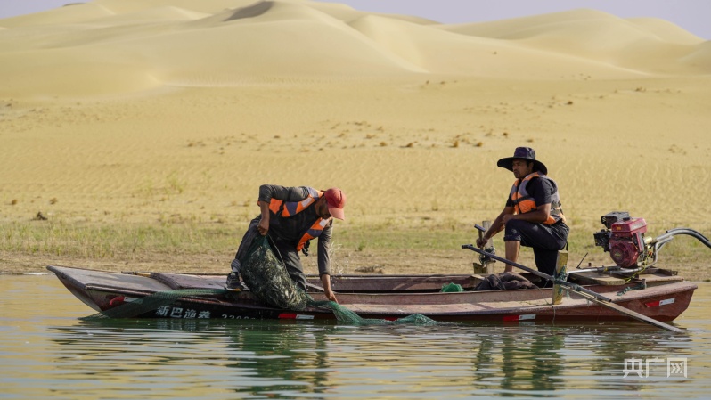 村庄复兴看新疆丨沙漠内地 螃蟹抢鲜上市