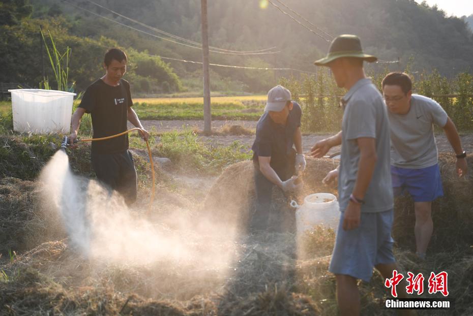 20年耕耘 台湾农民许天佑的“有机农业梦”