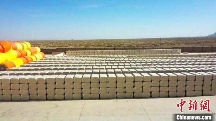 在新疆巴州博湖县的棉企业收购加工点，棉农张学军栽培了2000多亩的优质棉花，”。工人们正有序地对棉花进行装卸、2022年，　郭玉顺 摄