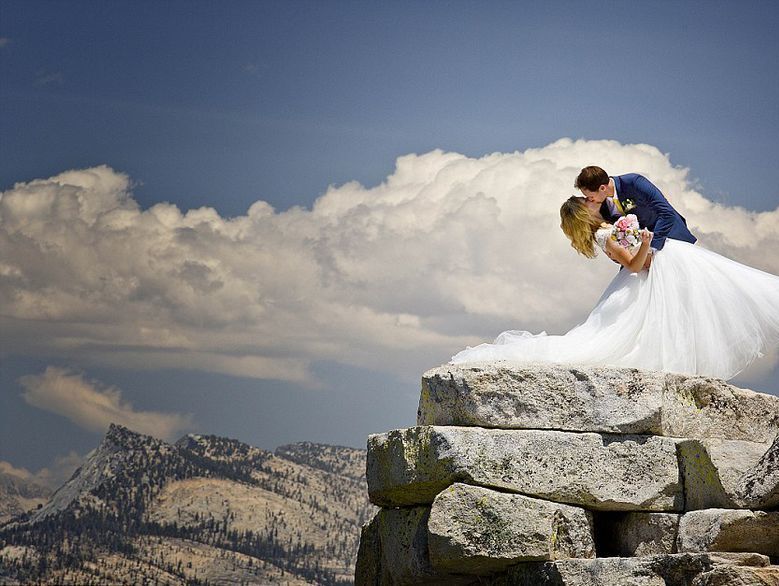 前所未见:鳄鱼吞食鳄鱼宝宝一幕_新闻引用复制