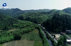 20190624《时代先锋》:安吉——给第一书记配导师 为乡村振兴补齐短板