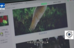 方明和:野生動物保護者和踐行者