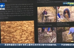 杭州良渚日 世界最早堤壩有多神奇？老虎嶺遺址公園正式開放
