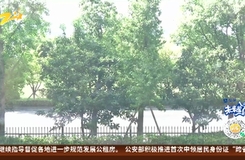 關注持續高溫 杭州又“熱”出新紀錄 下周起氣溫降至35℃以下