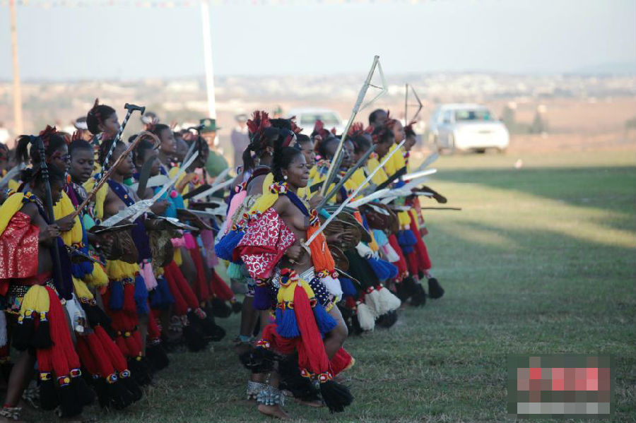 斯威士兰芦苇节开选秀女 十万女子苦盼国王垂青