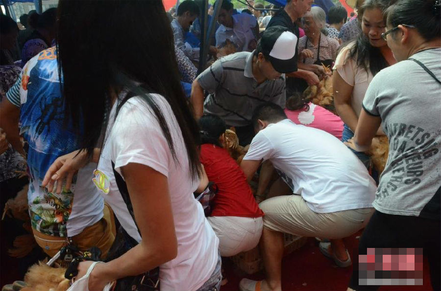 南宁:开发商促销新把戏办"抓鸡" 活鸡遭哄抢老太挤掉鞋