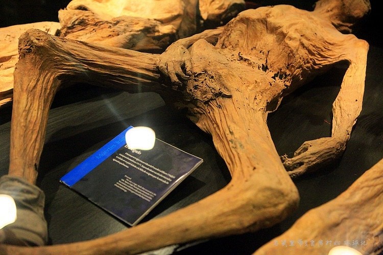 慎入!揭秘世界上最恐怖的人尸博物馆