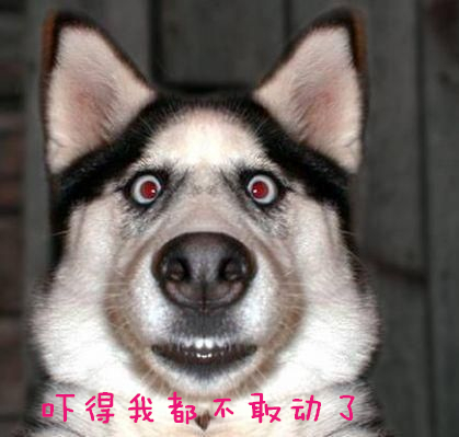 收到莫名其妙的快递 是"刷单" 还是"陷害"?