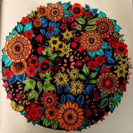 这才是解压神器《秘密花园》的正确使用方式