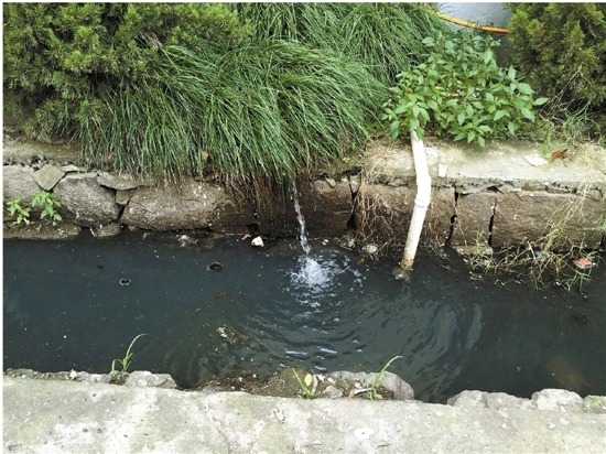 农村鱼塘pvc管排水图片