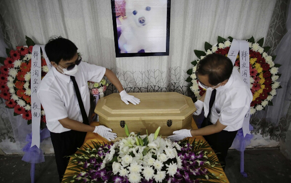 上海大妈花8000元为宠物狗办豪华葬礼 百万豪车送行