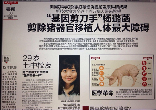 猪器官或可移植人体 课题带头人系北大毕业的中国女孩杨璐菡