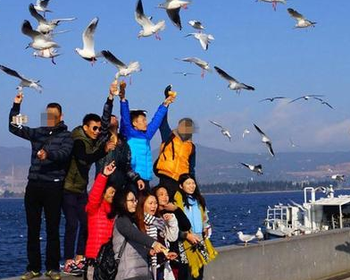 放开海鸥云南昆明多名游客徒手抓海鸥拍照其他海鸥拼命呼救