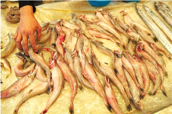 摊位一天卖出154箱虾潺 摊主自己为什么一条都不吃