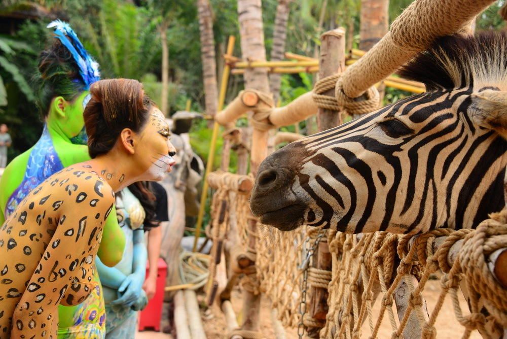 三亚彩色动物园举办此次美女人体彩绘活动,旨在传播爱护动物,尊重生命