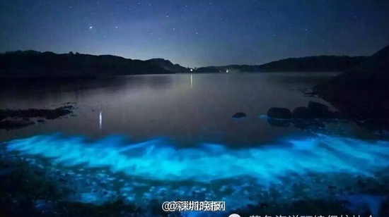 深圳海域现"荧光海" 专家:系夜光藻赤潮