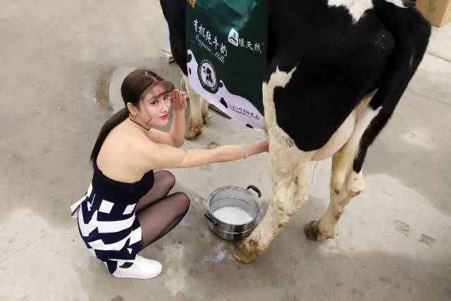 "挤奶妹"北京一小区门前挤奶 8元一盒遭哄抢