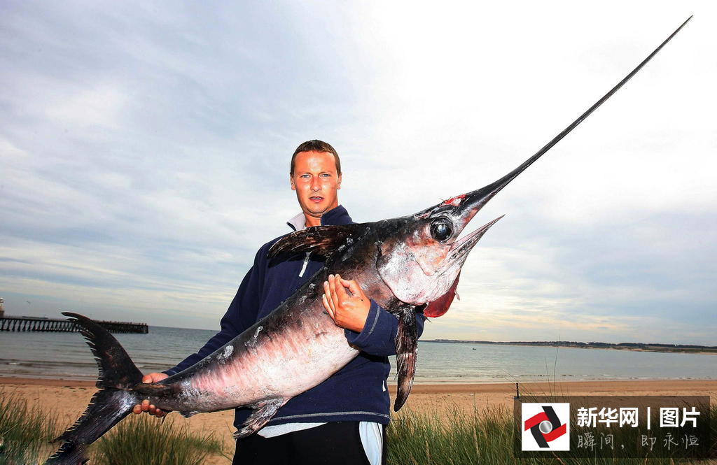 英国一男子捕获26千克巨型旗鱼