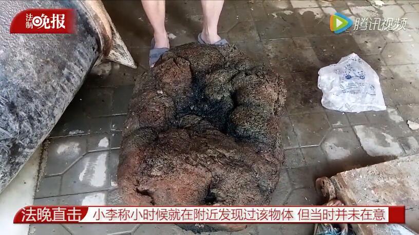 前段时间,辽宁农民王承德卖"太岁"赚数百万的消息引发不少关注.