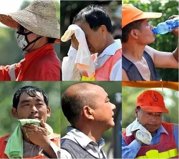高温下让人心疼的图片:有人可躲进阴凉 他们不行